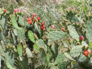 Click here for full details.